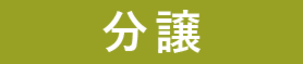分譲
