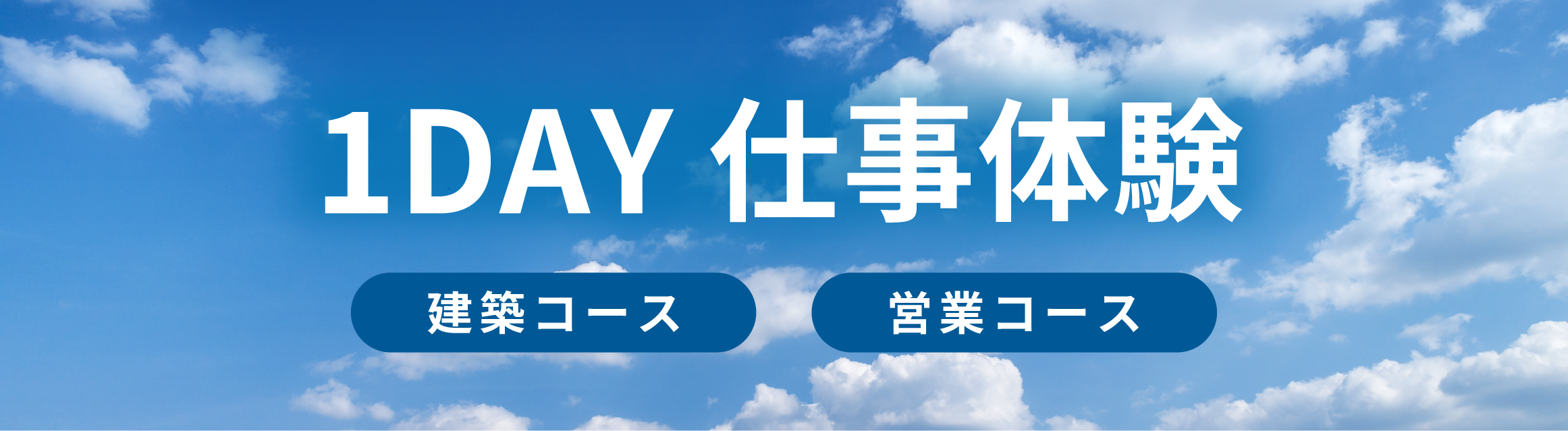 仕事体験