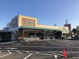 豊田市豊栄町　えぷろん大林店