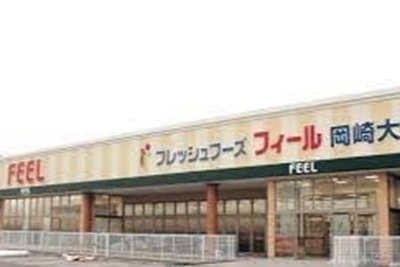 岡崎市矢作町　フィール岡崎大和店