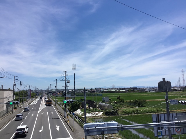 刈谷の道路