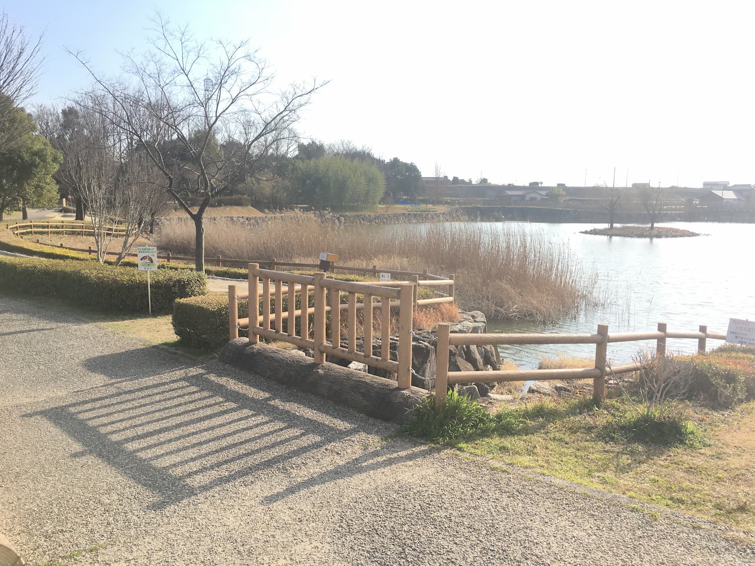 竹村新池公園　池２