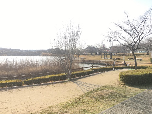 竹村新池公園４