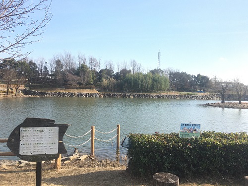 竹村新池公園　池